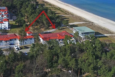 Fewo Kranich Ref. 213719 u 4