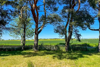 Vakantieappartement Gezinsvakantie Neu Bartelshagen