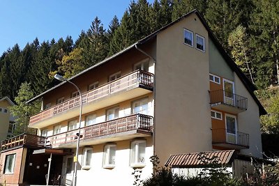 Sonnige Ferienwohnung 5 mit Südbalkon 2. OG
