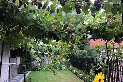 Vakantieappartement Gezinsvakantie Tecklenburg