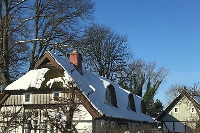 Vakantieappartement Gezinsvakantie Bodstedt