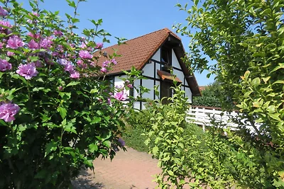 Ferienhaus 193 Deichgraf 86qm für max.