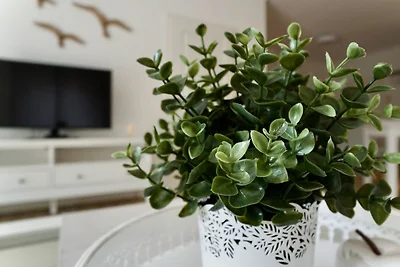 SO1 MEEResleuchten (EG links)