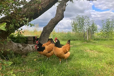 Studio-Apartment Ole Peerstall (EG)