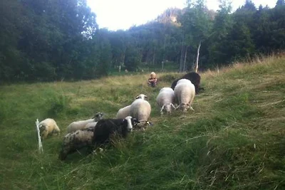 Appartamento Vacanza con famiglia Au in Vorarlberg