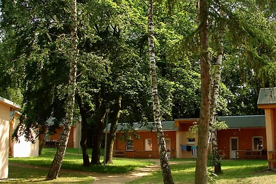 Albergo Cultura ed escursioni Ückeritz