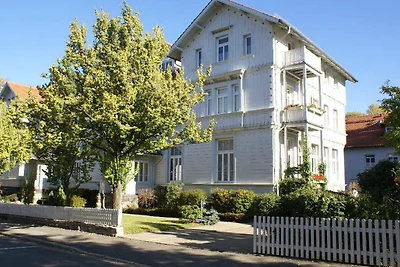 Appartement Vacances avec la famille Bad Harzburg