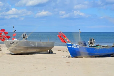 Graugans: 48m², 2-Raum, 4 Pers.