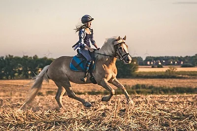 Appartement 8b Reitanlage