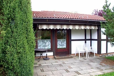 Albergo Cultura ed escursioni Bad Dürrheim