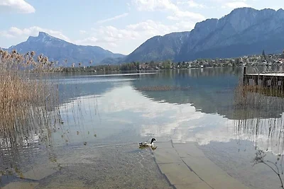 Appartamento Vacanza con famiglia Tiefgraben am Mondsee