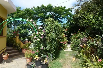 Apartment Rosa 1
