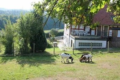 Vakantieappartement Gezinsvakantie Edertal