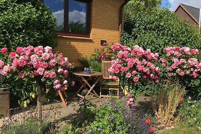 Vakantieappartement Gezinsvakantie Steinkirchen