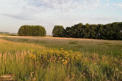 Ferienwohnung Theo im OG mit grossem Balkon
