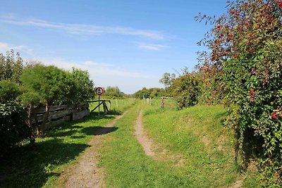SEE 9272 - Müritzblick 2