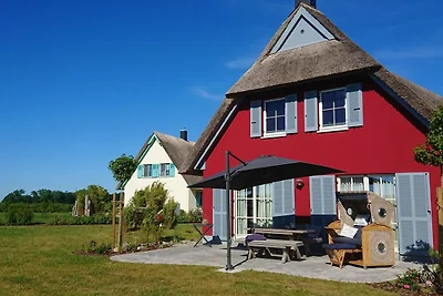 Vakantiehuis Ontspannende vakantie Zierow
