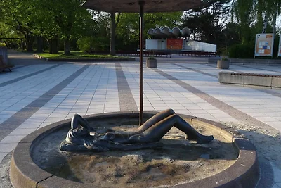 Ferienhaus Lachmöwe