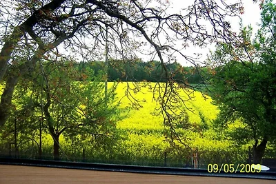 Ferienwohnung Zum Walnussbaum