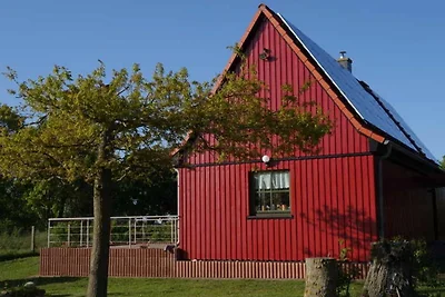 Casa vacanze Vacanza di relax Saal in Vorpommern