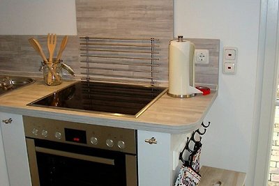 Holiday home relaxing holiday Zierow