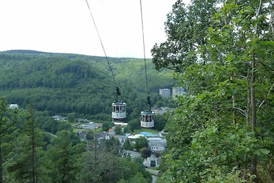 Vakantieappartement Gezinsvakantie Bad Harzburg