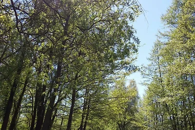 2-Raum-FW Meeresfunkeln