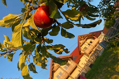 Vakantieappartement Gezinsvakantie Weichselbaum