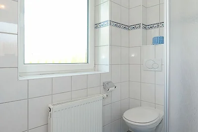 Albergo Cultura ed escursioni Neuharlingersiel