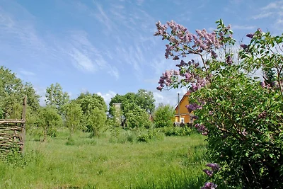 Appartamento Vacanza con famiglia Bergen auf Rügen