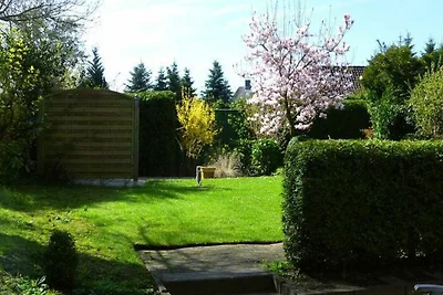 1-Raum FeWo 6, EG, 35m², Terrasse süd/west