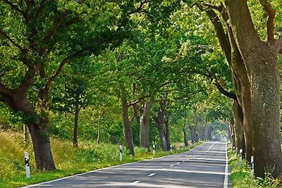 Vakantieappartement Gezinsvakantie Middelhagen