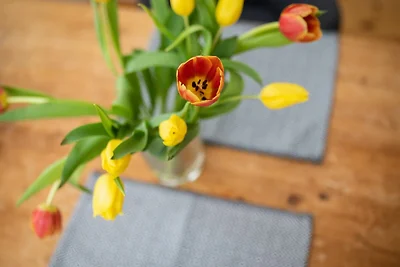 Vakantieappartement Gezinsvakantie Norderney