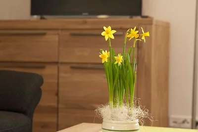 Ferienwohnung Vanda