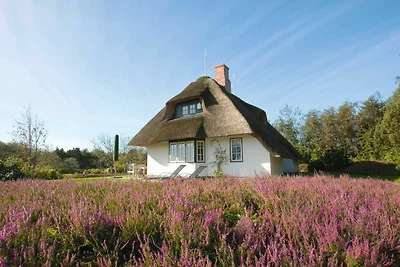 Vakantiehuis Ontspannende vakantie Munkmarsch