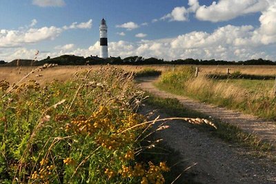 Vakantiehuis Ontspannende vakantie Kampen