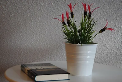 Unterkunft Kliff am Meer, WLAN, Waschmaschine