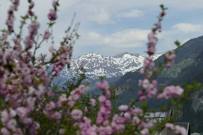 Ferienwohnung für 2-4 Personen 1