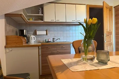 Appartement Vacances avec la famille Attersee