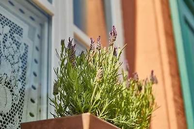 Vakantieappartement Gezinsvakantie Bernkastel-Kues