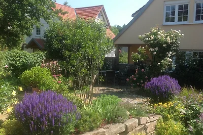 Apartment 3 (mit Wintergarten)