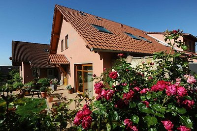 Hotel Cultuur en bezienswaardigheden Vendersheim