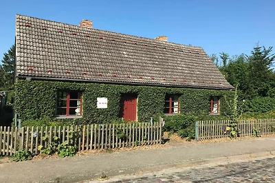 Vakantieappartement Gezinsvakantie Mellenthin