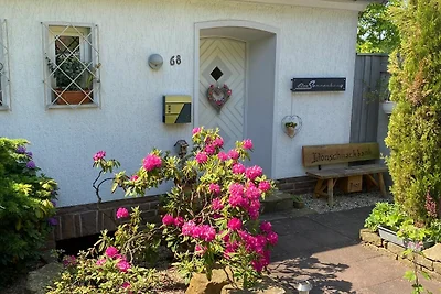 2-Raum Ferienwohnung (45m²)
