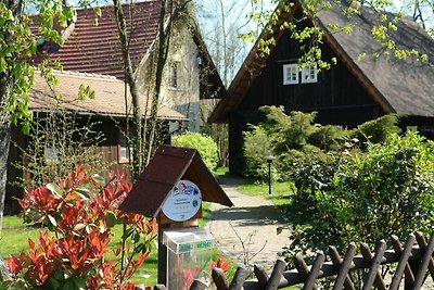 Ferienhaus Das Spreewaldhaus