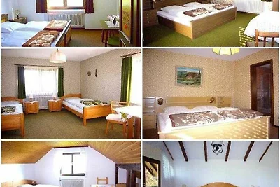 Albergo Cultura ed escursioni Miltenberg