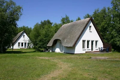 Doppelhaushälfte (Terrasse)