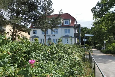 Schwarzer Bär Whg. Bär 03