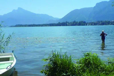 Appartamento Vacanza con famiglia Tiefgraben am Mondsee