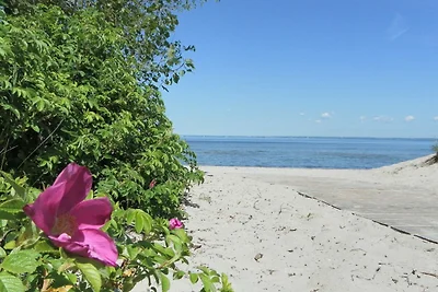 Vakantieappartement Gezinsvakantie Barendorf